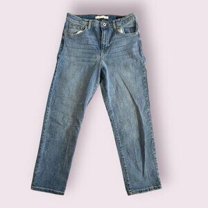 ELLA MOSS High Waist Straight Light Wash Jeans Size 10